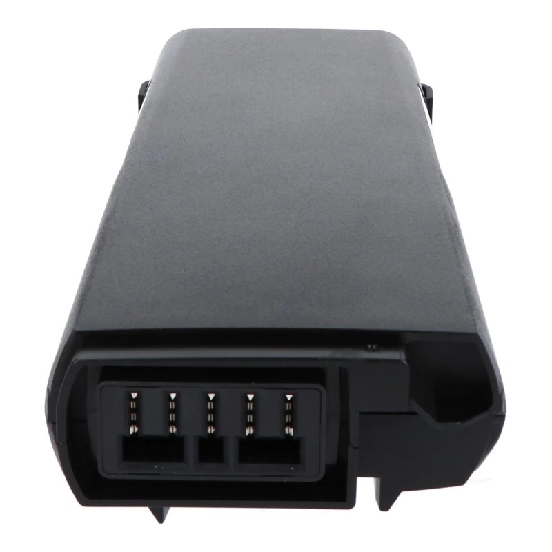 e bike pegasus premio e9