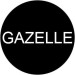 Bicycle battery Gazelle
