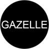 Batterie de bicyclette Gazelle | Gazelle batteries et chargeurs électriques