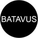 Batterie pour vélos Batavus