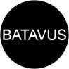 eBike batteries for Batavus bicycles | AZParts